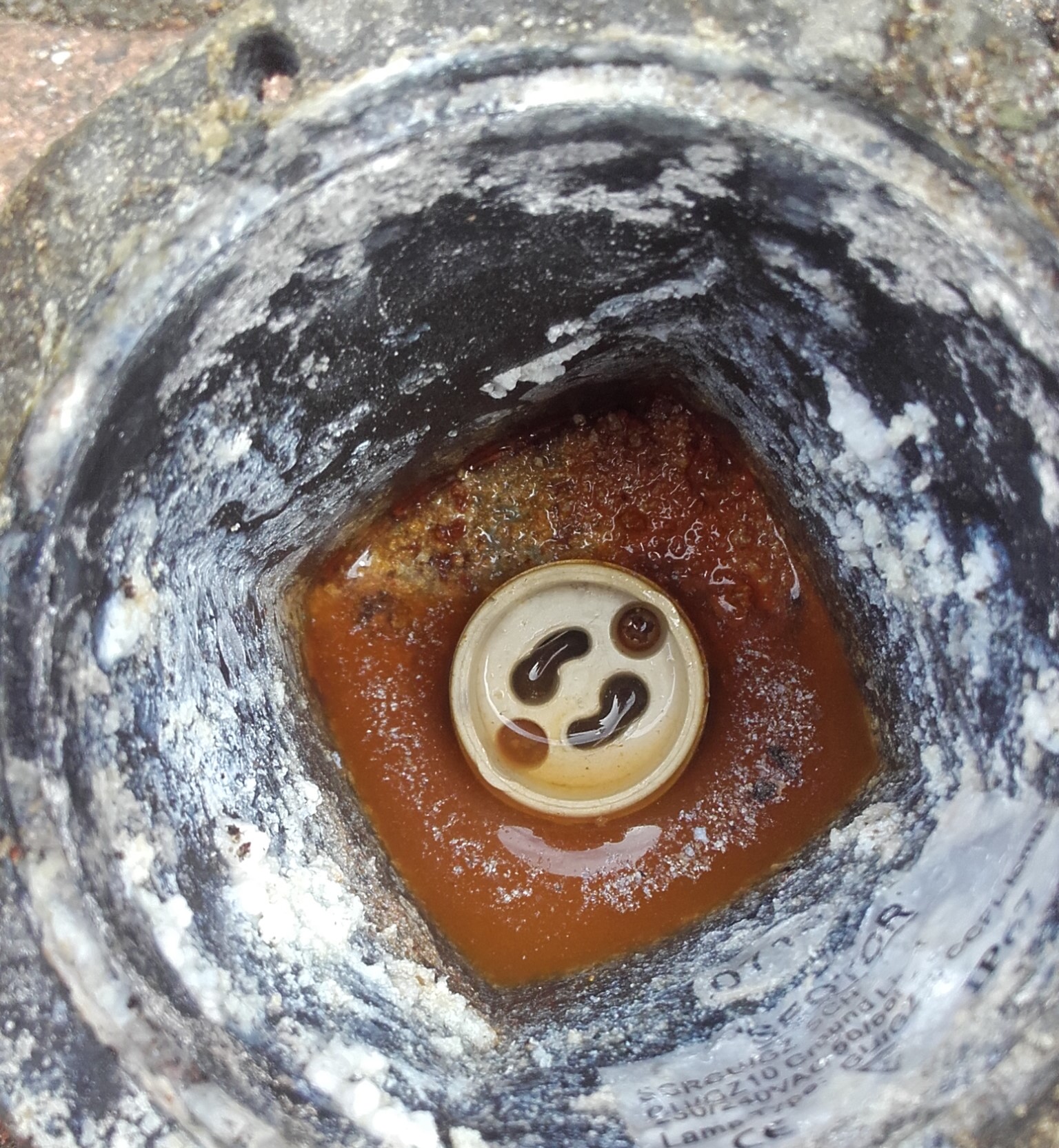 Wet Wires and Crispy Cables Hearing Sparks